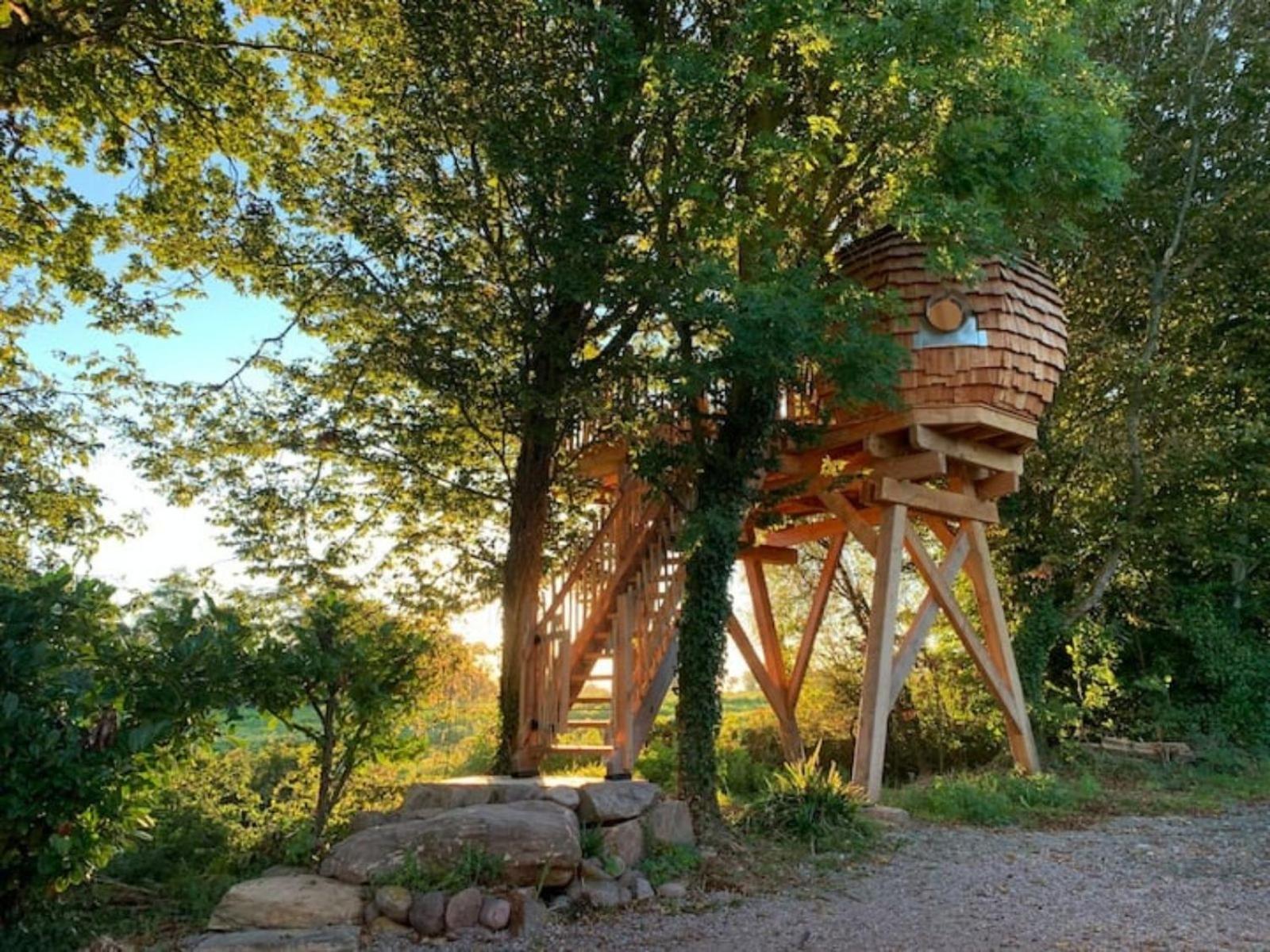 La Ville Es Renais - Ferme Et Maison D'Hotes Insolite Erquy Eksteriør bilde
